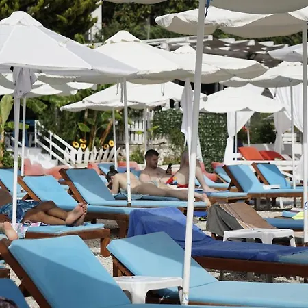 Cocktail & Dreams - 3* Sarandë