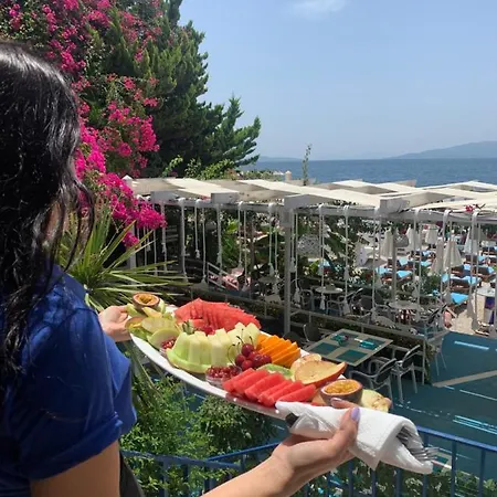 Cocktail & Dreams - Saranda