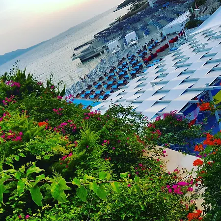 Hotel Cocktail & Dreams -