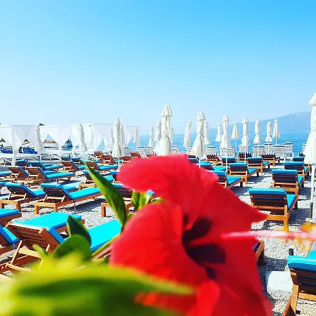 Cocktail & Dreams - Hotel