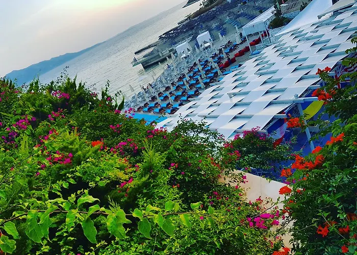 Hotell Cocktail & Dreams -